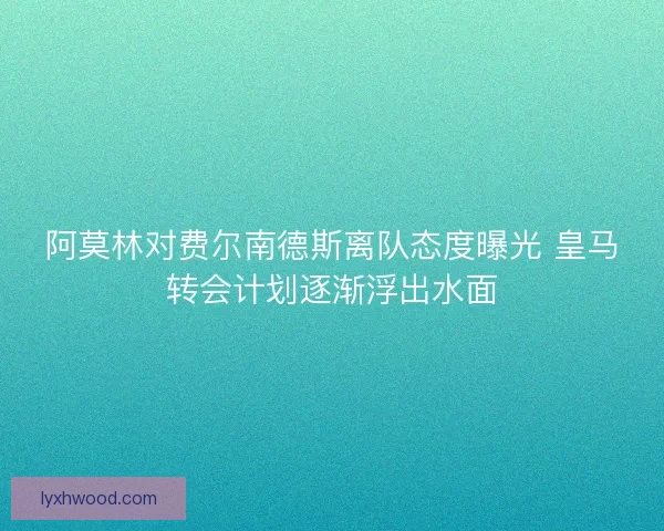 阿莫林对费尔南德斯离队态度曝光 皇马转会计划逐渐浮出水面