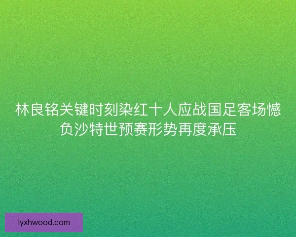 林良铭关键时刻染红十人应战国足客场憾负沙特世预赛形势再度承压
