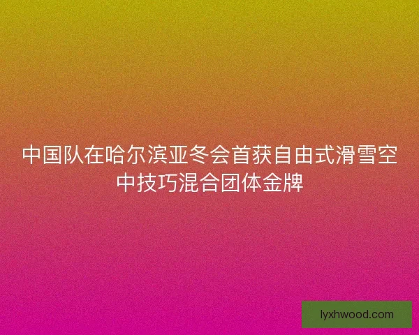 中国队在哈尔滨亚冬会首获自由式滑雪空中技巧混合团体金牌